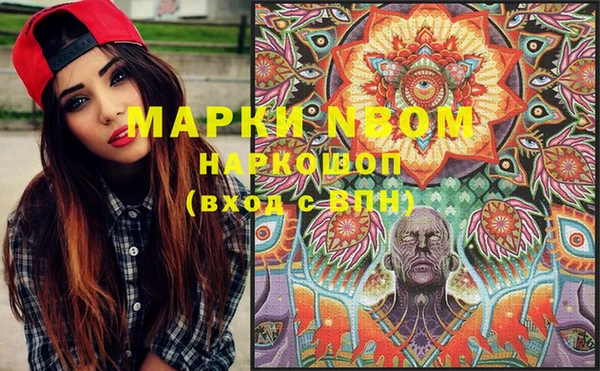 амф Бронницы